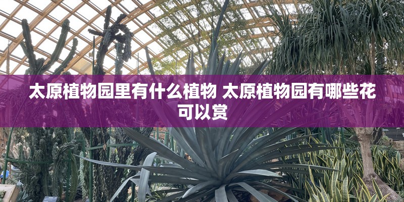 太原植物园里有什么植物 太原植物园有哪些花可以赏 太原植物园里有什么植物 太原植物园有哪些花可以赏