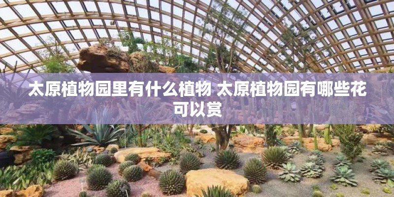 太原植物园里有什么植物 太原植物园有哪些花可以赏 太原植物园里有什么植物 太原植物园有哪些花可以赏