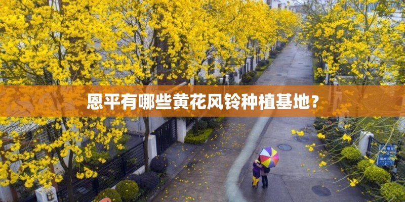 恩平有哪些黄花风铃种植基地? 恩平有哪些黄花风铃种植基地?