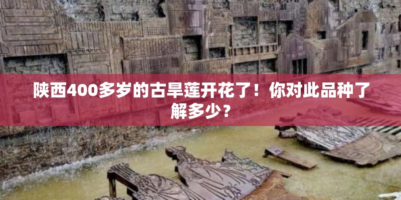 大柠檬的品种有哪些
