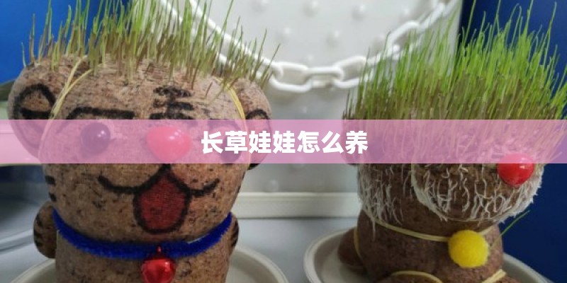 长草娃娃怎么养