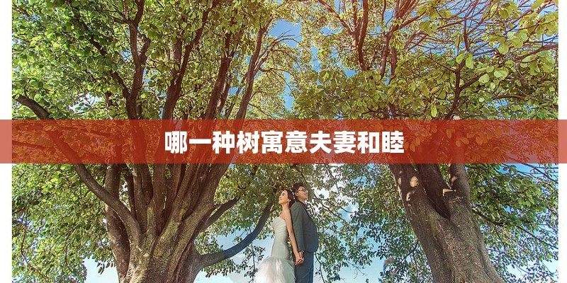 哪一种树寓意夫妻和睦