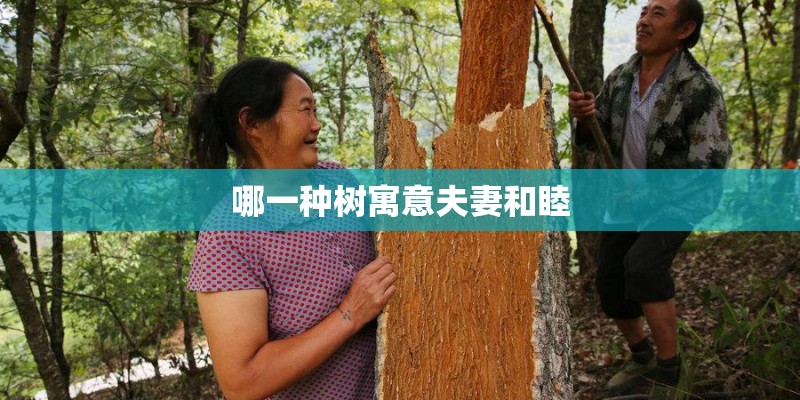 哪一种树寓意夫妻和睦