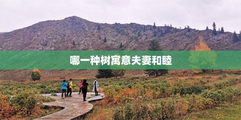 哪一种树寓意夫妻和睦