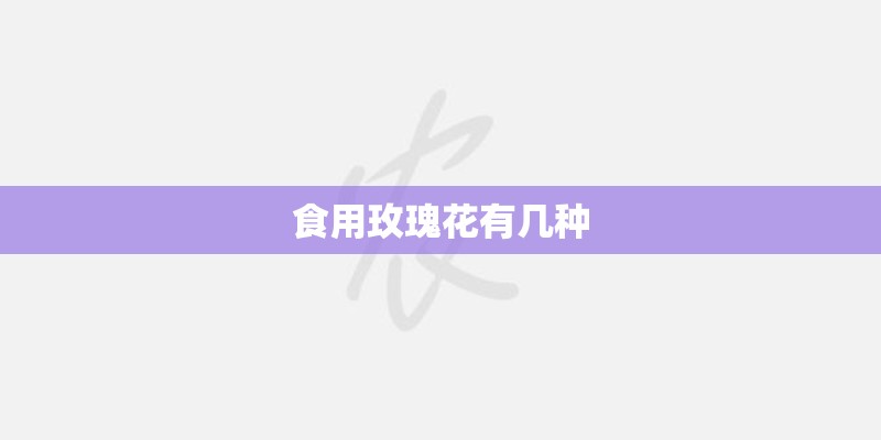 食用玫瑰花有几种