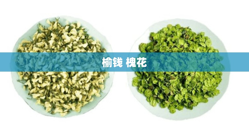 榆钱 槐花