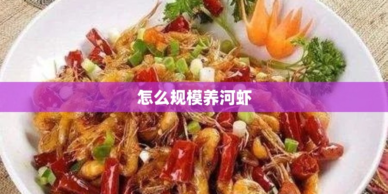 怎么规模养河虾 怎么规模养河虾