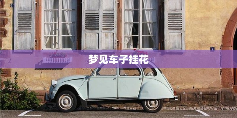 梦见车子挂花