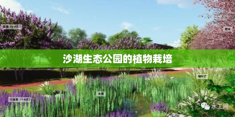 沙湖生态公园的植物栽培