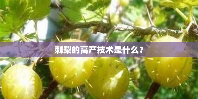 刺梨的高产技术是什么？