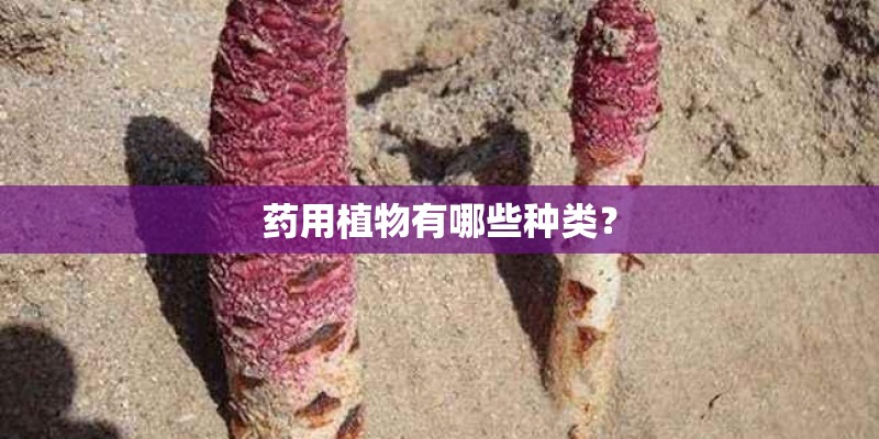 药用植物有哪些种类？