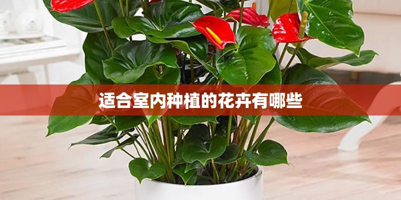 梦见房顶种树的预兆