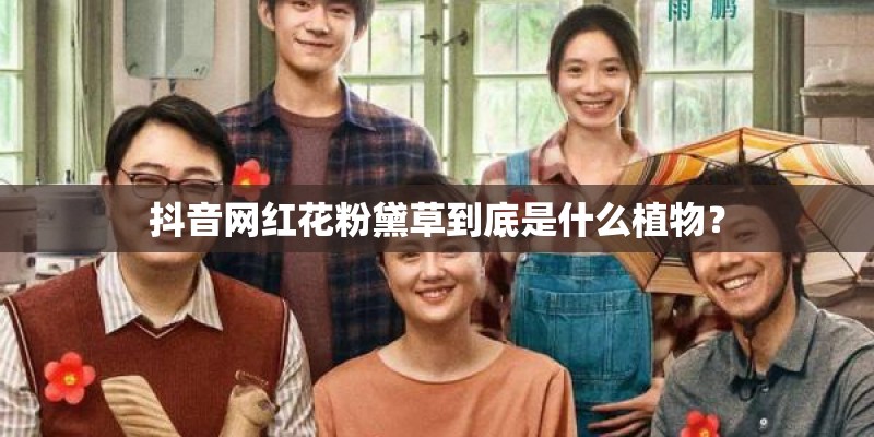 抖音网红花粉黛草到底是什么植物？
