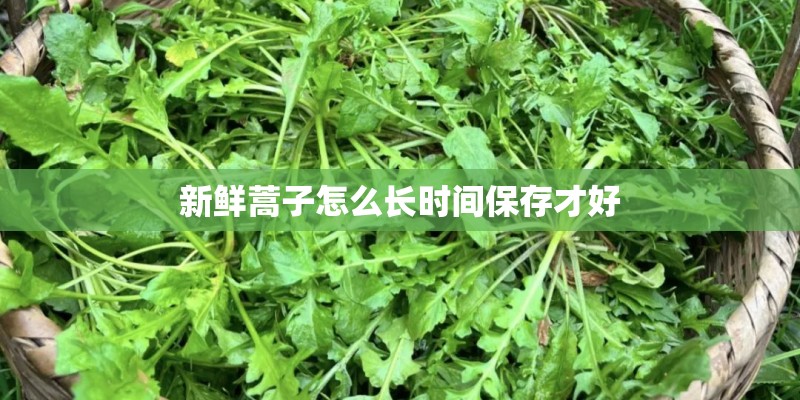 新鲜蒿子怎么长时间保存才好