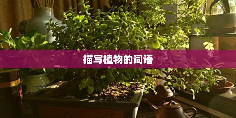 描写植物的词语