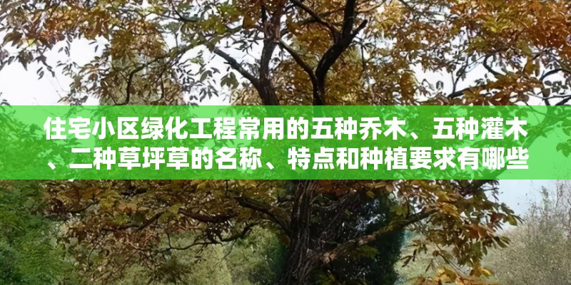 住宅小区绿化工程常用的五种乔木、五种灌木、二种草坪草的名称、特点和种植要求有哪些