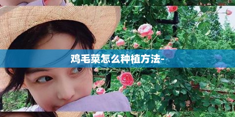 鸡毛菜怎么种植方法-