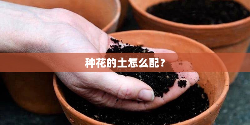 种花的土怎么配？