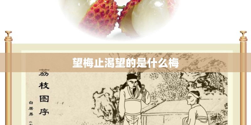 望梅止渴望的是什么梅