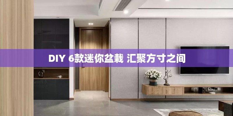 DIY 6款迷你盆栽 汇聚方寸之间 DIY 6款迷你盆栽 汇聚方寸之间