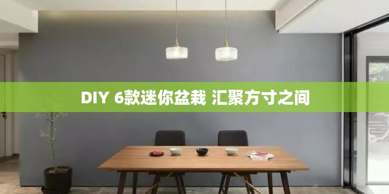 DIY 6款迷你盆栽 汇聚方寸之间 DIY 6款迷你盆栽 汇聚方寸之间