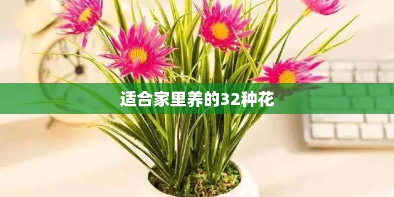 适合家里养的32种花