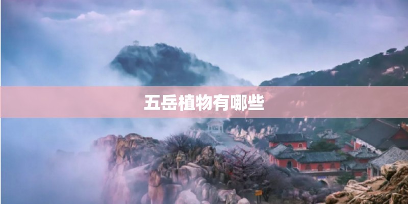 五岳植物有哪些