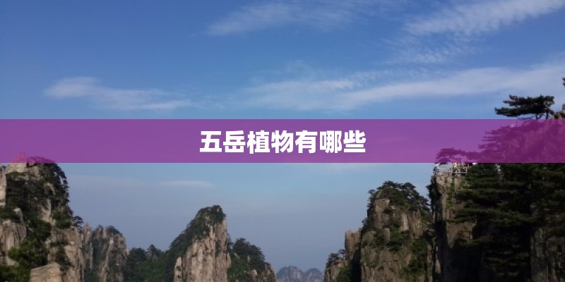 五岳植物有哪些