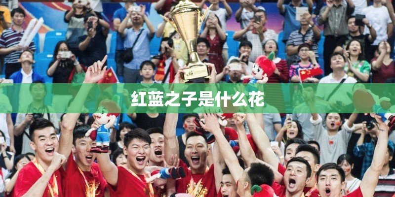 红蓝之子是什么花