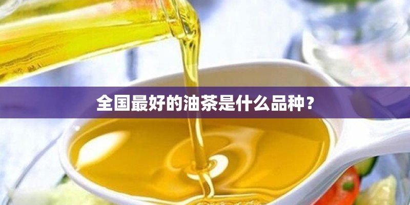 全国最好的油茶是什么品种？