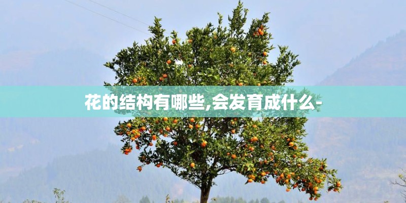 花的结构有哪些,会发育成什么-