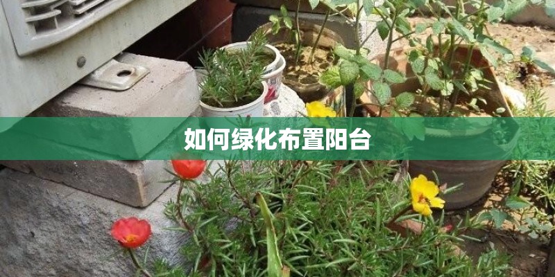 如何绿化布置阳台