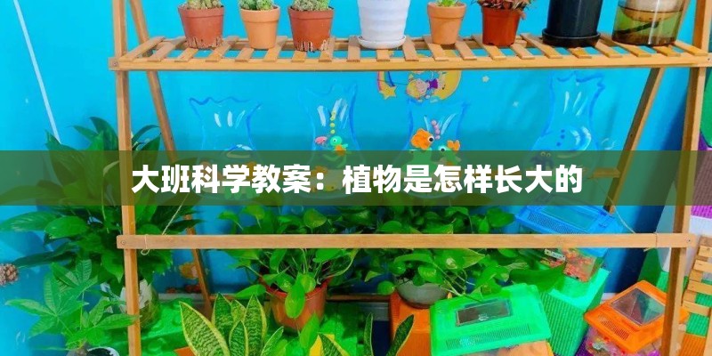 大班科学教案：植物是怎样长大的