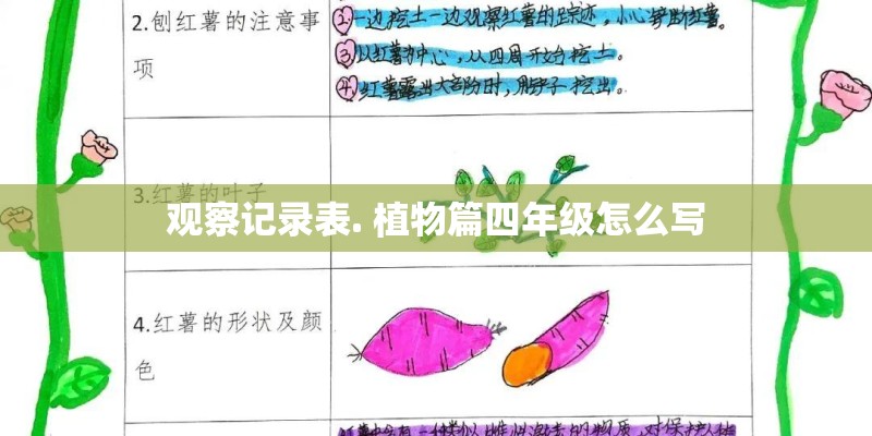 观察记录表. 植物篇四年级怎么写