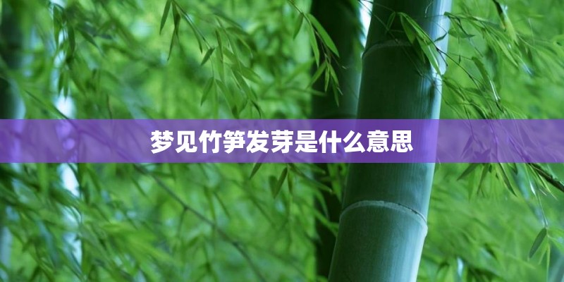 梦见竹笋发芽是什么意思