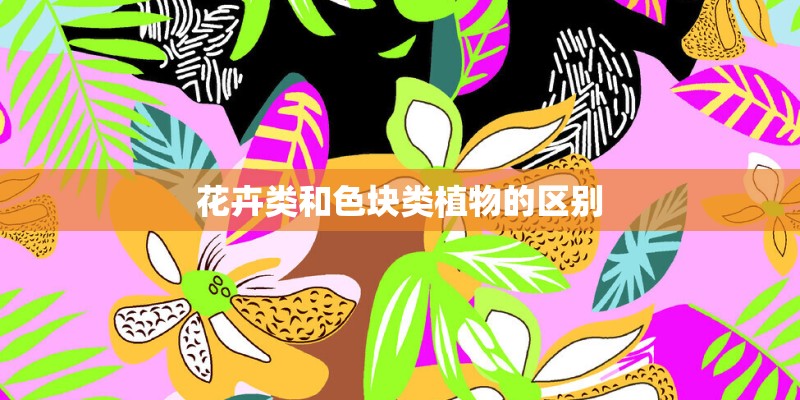 花卉类和色块类植物的区别