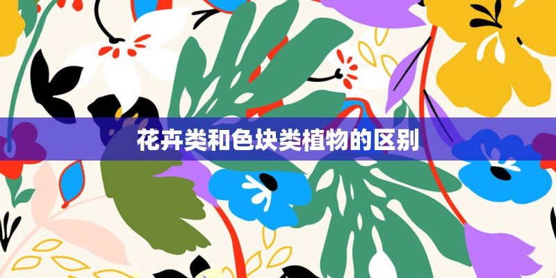 花卉类和色块类植物的区别