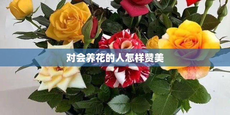 对会养花的人怎样赞美
