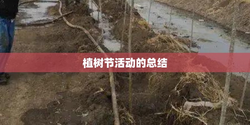 植树节活动的总结