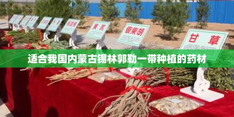 适合我国内蒙古锡林郭勒一带种植的药材