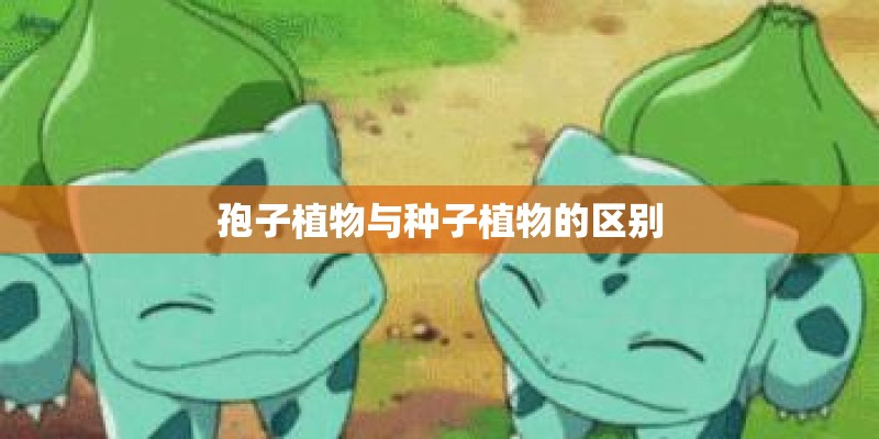 孢子植物与种子植物的区别