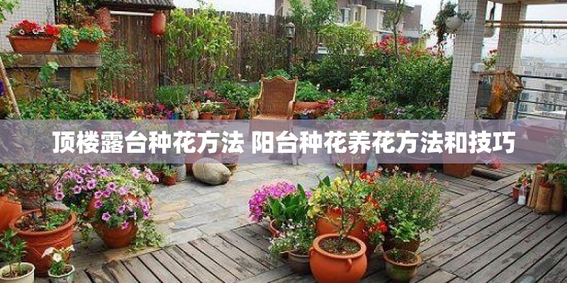 顶楼露台种花方法 阳台种花养花方法和技巧