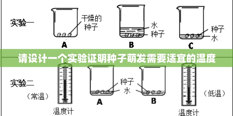 请设计一个实验证明种子萌发需要适宜的温度