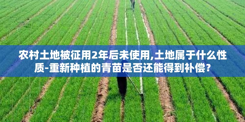 农村土地被征用2年后未使用,土地属于什么性质-重新种植的青苗是否还能得到补偿？