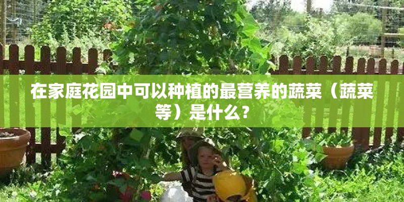 在家庭花园中可以种植的最营养的蔬菜（蔬菜等）是什么？