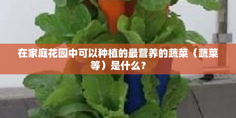 在家庭花园中可以种植的最营养的蔬菜（蔬菜等）是什么？