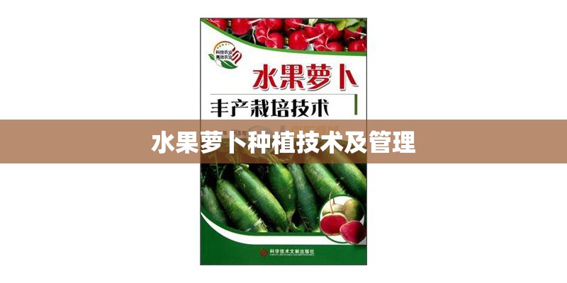 水果萝卜种植技术及管理