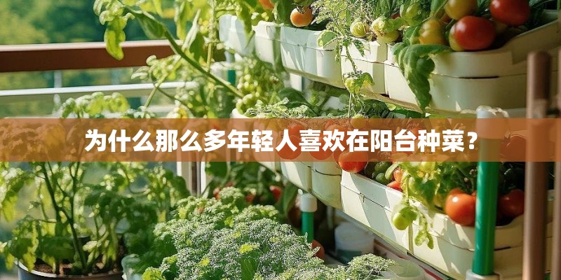 为什么那么多年轻人喜欢在阳台种菜？