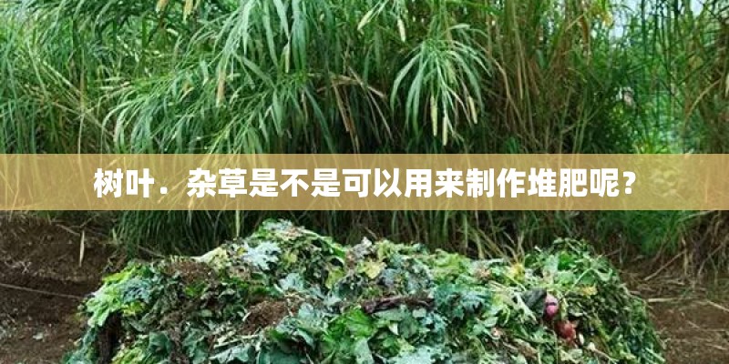 树叶．杂草是不是可以用来制作堆肥呢？