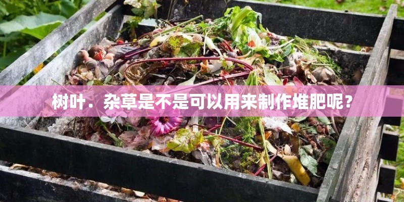 树叶．杂草是不是可以用来制作堆肥呢？